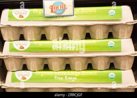 Three Dozen Eggs in Cartons Stock Photo