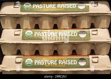 Three Dozen Eggs in Cartons Stock Photo