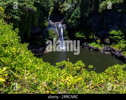 Makahiku Falls on The Pipiwai Trail, Kipahulu District, Haleakala National Park, Maui, Hawaii, USA Stock Photo