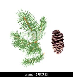 Spruce branch and cone. Vector illustration for New Year composition. Design element for greeting cards, Christmas invitations, themed banners, flyers Stock Vector