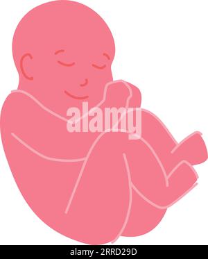 Baby in fetus pose. Child symbol. Newborn icon isolated on white background Stock Vector