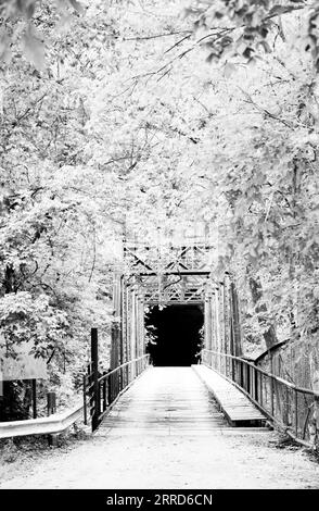 Wooden bridge with tree cover on either side leading to a dark open tunnel. Stock Photo