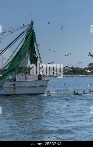shrimp boat surrounded by pelicans and seagulls on a sunny morning a few clouds in the sky. Stock Photo
