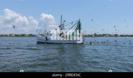 shrimp boat surrounded by pelicans and seagulls on a sunny morning a few clouds in the sky. Stock Photo