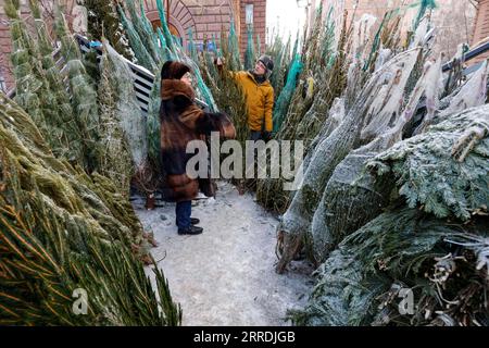 Bilder des Jahres 2021, News 12 Dezember News Bilder des Tages 211229 -- MOSCOW, Dec. 29, 2021 -- People select packed trees for the New Year celebration at a bazaar in Moscow, Russia, Dec. 29, 2021. Photo by /Xinhua RUSSIA-MOSCOW-NEW YEAR-TREE-BAZAAR AlexanderxZemlianichenkoxJr PUBLICATIONxNOTxINxCHN Stock Photo