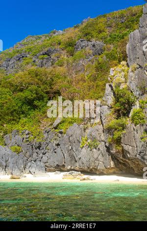 Shimizu Island, Bacuit Archipelago, El Nido, Palawan, Philippines. Background vertical image with copy space for text, blue sky Stock Photo