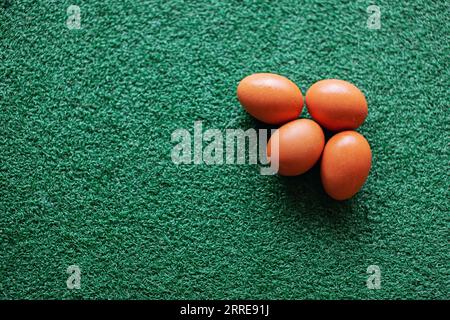 4 chicken eggs laid on the green grass Stock Photo