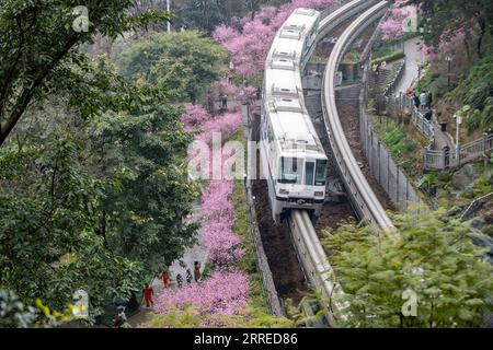 220220 -- CHONGQING, Feb. 20, 2022 -- A train runs past blooming flowers along Liziba Station of Chongqing Rail Transit Line 2 in southwest China s Chongqing Municipality, Feb. 20, 2022.  CHINA-CHONGQING-TRAIN-FLOWER CN TangxYi PUBLICATIONxNOTxINxCHN Stock Photo