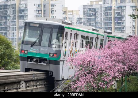 220220 -- CHONGQING, Feb. 20, 2022 -- A train runs past blooming flowers along Liziba Station of Chongqing Rail Transit Line 2 in southwest China s Chongqing Municipality, Feb. 20, 2022.  CHINA-CHONGQING-TRAIN-FLOWER CN TangxYi PUBLICATIONxNOTxINxCHN Stock Photo