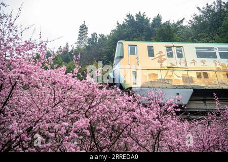 220220 -- CHONGQING, Feb. 20, 2022 -- A train runs past blooming flowers along Liziba Station of Chongqing Rail Transit Line 2 in southwest China s Chongqing Municipality, Feb. 20, 2022.  CHINA-CHONGQING-TRAIN-FLOWER CN TangxYi PUBLICATIONxNOTxINxCHN Stock Photo