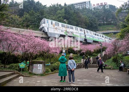 220220 -- CHONGQING, Feb. 20, 2022 -- A tourist takes pictures of a train running past blooming flowers along Liziba Station of Chongqing Rail Transit Line 2 in southwest China s Chongqing Municipality, Feb. 20, 2022.  CHINA-CHONGQING-TRAIN-FLOWER CN TangxYi PUBLICATIONxNOTxINxCHN Stock Photo