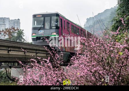 220220 -- CHONGQING, Feb. 20, 2022 -- A train runs past blooming flowers along Liziba Station of Chongqing Rail Transit Line 2 in southwest China s Chongqing Municipality, Feb. 20, 2022.  CHINA-CHONGQING-TRAIN-FLOWER CN TangxYi PUBLICATIONxNOTxINxCHN Stock Photo