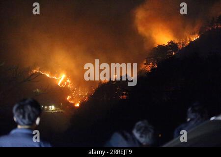 220305 -- SEOUL, March 5, 2022 -- Photo taken on March 5, 2022 shows the wildfire in Gangwon Province, South Korea. NEWSIS/Handout via Xinhua SOUTH KOREA-WILDFIRE NiuxXisitongxunsheNEWSIS PUBLICATIONxNOTxINxCHN Stock Photo