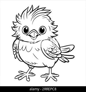 Opila bird coloring page hi-res stock photography and images - Alamy