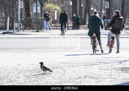220313 -- BERLIN, March 13, 2022 -- A crow crosses a road in Berlin, capital of Germany, March 12, 2022.  GERMANY-BERLIN-EARLY SPRING ShanxYuqi PUBLICATIONxNOTxINxCHN Stock Photo