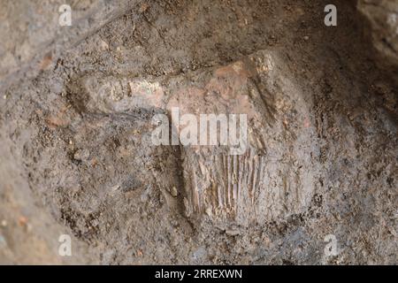 220319 -- BEIJING, March 19, 2022  -- Undated file photo shows a relic found at the Neolithic jade workshop remains in Nanyang City, central China s Henan Province. The Institute of Archaeology of the Chinese Academy of Social Sciences has announced its list of China s six most important archaeological discoveries of 2021. The list of projects, which was announced in Beijing on Friday, is as follows: the Paleolithic ruin sites in the southwestern province of Sichuan the Neolithic jade workshop remains in central China s Henan the legendary Sanxingdui Ruins site in Sichuan two sites of ancient Stock Photo