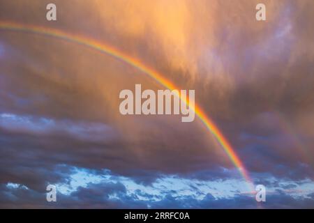 Rainbow at sunset. Partly cloudy sky on the background. Rainbow backdrop or background photo. Stock Photo