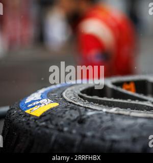 Oyama, Japon. 08th Sep, 2023. michelin, tyre, pneu, during the 6 Hours of Fuji 2023, 6th round of the 2023 FIA World Endurance Championship, from September 7 to 10, 2023 on the Fuji Speedway, in Oyama, Japan - Photo Frédéric Le Floc'h/DPPI Credit: DPPI Media/Alamy Live News Stock Photo