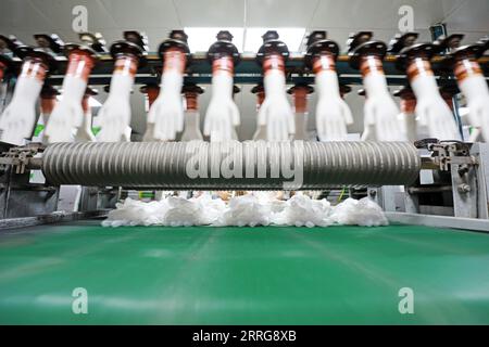 PVC medical gloves production line in the factory Stock Photo