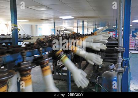 PVC medical gloves production line in the factory Stock Photo