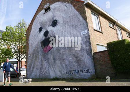 220518 -- OSTEND BELGIUM, May 18, 2022 -- A man walks a dog past a mural in Ostend, Belgium, on May 18, 2022. In recent years, artists used facades of Ostend buildings as their canvas and created many murals as street artworks.  BELGIUM-OSTEND-STREET ART ZhengxHuansong PUBLICATIONxNOTxINxCHN Stock Photo