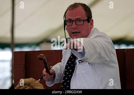 KELSO, Friday 08 September 2023. Caption: An auctioneer selling in one of the 15 sale rings, 4281 rams covering 16 breeds. [INFO]: Internationally recognised as the largest sale of Rams in the world, Kelso Ram Sales under the auspices of The Border Union Agricultural Society, began in 1838 when 120 Rams were offered for sale by auction, fetching an average price of three to six pounds. The annual sale on the second Friday of September has grown and flourished since these early days, and now frequently offers well over 5,000 rams for auction in 15 rings from over 15 breeds. The Texel breed com Stock Photo