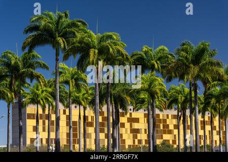 Beautiful view to modern architecture Chamber of Deputies yellow Stock Photo