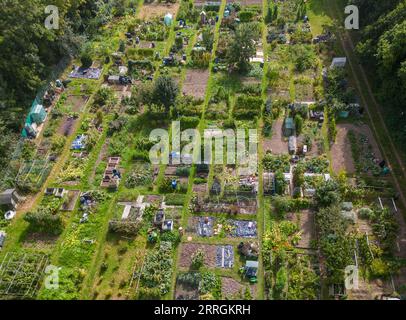 aerial view of my allotments in early September in Burgess Hill West sussex Stock Photo