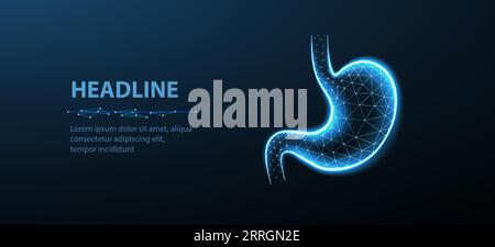 Abstract wireframe stomach illustrration. Stomach anatomy, 3D gastroenterology Stock Vector