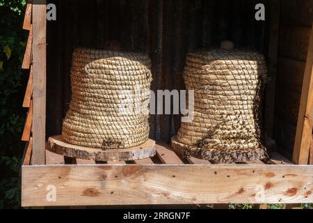 Wicker basket beehives called skeps with honey bees (Apis mellifera), bee keeping, beekeeping Stock Photo