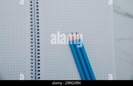 simple pencils notebook cage stationery.close-up of pen.top view. texture. place for text Stock Photo