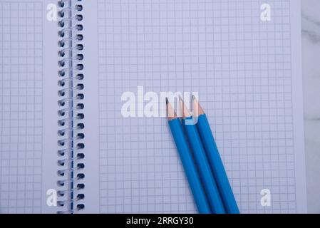 simple pencils notebook cage stationery.close-up of pen.top view. texture. place for text Stock Photo
