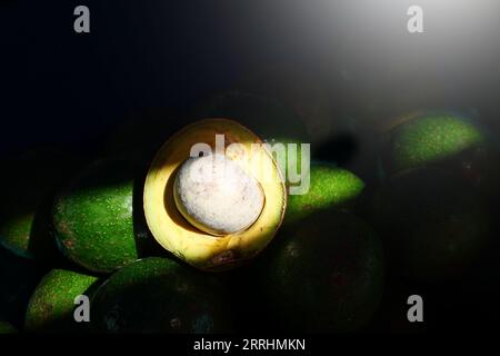 Fresh Avocados fruit on nature background. Stock Photo