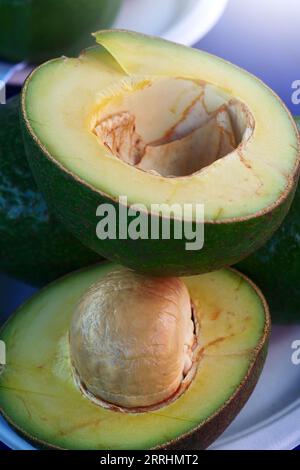 Fresh Avocados fruit on nature background. Stock Photo