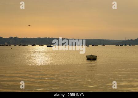 Poole Harbour looking towards Browsea Island with small boats in warm summer evening light of sunset, Dorset, UK Stock Photo