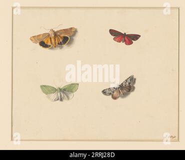 Four butterflies, 1811-1851. Stock Photo