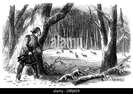 Sporting Scenes in Canada - Wild Turkey Shooting, 1858. 'The wild turkey (Meleagris gallopavo, Linn.) is fast disappearing from the woods of Canada...Their extinction will be hastened by the reckless manner in which they are destroyed by trapping- a wholesale mode of slaughter adopted by the thoughtless and avaricious &quot;bush-whackers&quot;...The most legitimate and sportsmanlike mode of pursuing these birds is by stalking or &quot;still-hunting&quot; them in the snow...The hunter is attired in a white blanket coat, having a white handkerchief tied over his cap, so as not to attract the eye Stock Photo