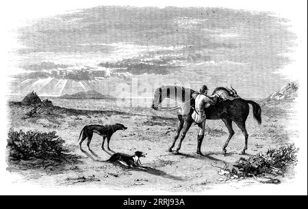 Antelope-Hunting in India - Preparing to Return, 1858. Engraving from sketches by Captain W. R. Goodall, of the Military Train, who writes: '...the antelope has been run into and killed, and fastened behind the saddle of the sportsman. Some vultures on a rock close by are waiting for anything the dogs may have left of their share of the spoil. The country represented is much the same as the neighbourhood of Bangalore and the Mysore division generally. The dogs in the sketches are portraits of some very fine Australian kangaroo dogs of my own'. From &quot;Illustrated London News&quot;, 1858. Stock Photo