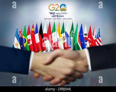 Two people shaking hands in front of G20 member countries' flags. Stock Photo