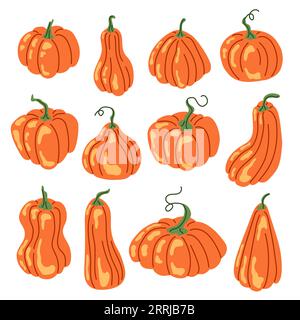 Pumpkins collection in flat style. Autumn, fall, thanksgiving and halloween decoration cartoon. Vector illustration isolated on a white background. Stock Vector