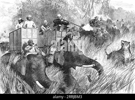 The Prince of Wales Tiger-Shooting with Sir Jung Bahadoor: the Critical Moment, from a sketch by one of our special artists,  1876. The future King Edward VII in India. '...the reeds and grass were so high as to rise above the heads of those in the howdahs...and the head of the shooter, who stands upright in front on the floor of the howdah, is certainly 17 ft. above the ground...Except for the elephants no man could go into such a place at all...but elephants are apt to lose their presence of mind and dignity of deportment when they come upon tigers in a swamp...[after she was shot]...the tig Stock Photo