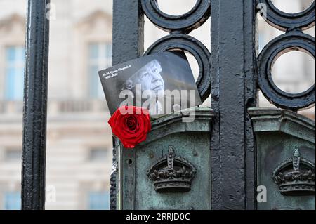 London, UK. A single red rose was placed in the Palace gates in memorial to her majesty.The First Anniversary of Queen Elizabeth II's Death, Buckingham Palace, London. Commemorations were low-key with King Charles, who is at Balmoral, not taking part in any official engagements today. Credit: michael melia/Alamy Live News Stock Photo