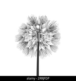 Dandelion flower seeds plant vector illustration Stock Vector