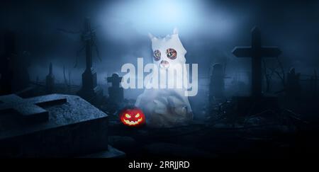 Cat in a ghost costume in a cemetery at night. Halloween background. Stock Photo