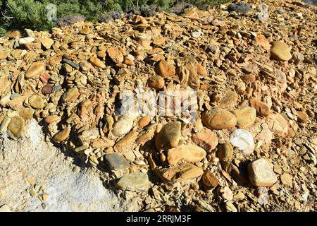 Conglomerate is a clastic sedimentary rock. This photo was taken in La Cerdanya, Girona province, Catalonia, Spain. Stock Photo