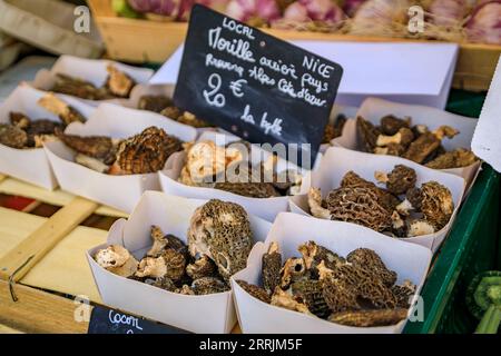 Rare wild morel mushrooms on display at Cours Saleya outdoor farmers market in Old Town, Vieille Ville in Nice, French Riviera, South of France Stock Photo