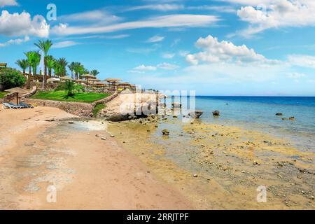 View of the Egypt Red Sea beach Stock Photo