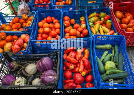 At the agricultural market in the cloister of San Francesco there are boxes containing vegetables, tomatoes, cabbages and courgettes. Ascoli Piceno Stock Photo