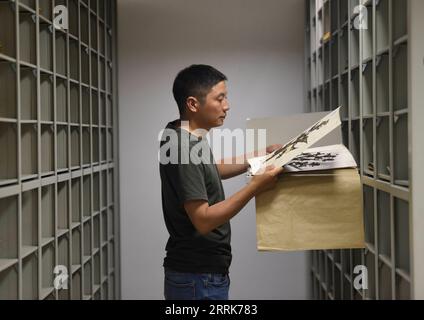 220822 -- CHENGDU, Aug. 22, 2022 -- Photo taken on Aug. 17, 2022 shows researcher Hu Jun checking specimens at Chengdu Institute of Biology under the Chinese Academy of Sciences in southwest China s Sichuan Province. According to the Chengdu Institute of Biology under the Chinese Academy of Sciences CAS, researchers have rediscovered a critically endangered plant, Euonymus aquifolium, during China s second scientific research survey on the Qinghai-Tibet Plateau. Euonymus aquifolium is a rare and vegetatively distinctive species, and the rediscovery by Chinese researchers uncovered the only pre Stock Photo