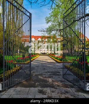 Garden, park, park area, old town center, old town, historical old town, sight, beautiful place, tulip, path, garden area, bed, tulip bed, green area, prince-bishop residence, residence garden Stock Photo